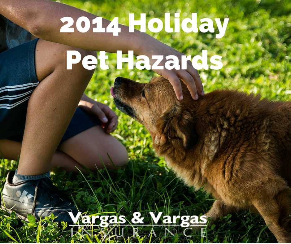 2014 Holiday Pet Hazards