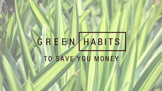 3.24.16 - Green Habits Img