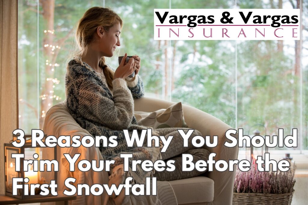 homeowner looking at freshly trimmed trees in her yard during winter